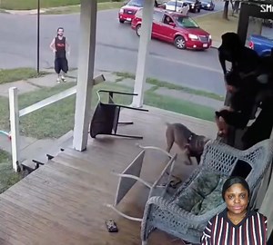 16K views · 78 reactions | Why have dogs around humans if they are like this? #viralreelschallenge2025viralreelschallengejaiviralreelschallengeviralreelschallenge | Movieworld | Facebook