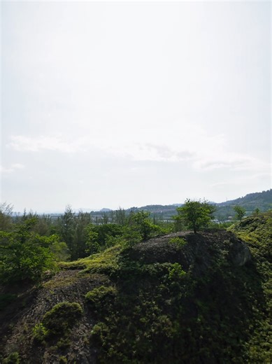 The Transformative Impact of Oil Palm Plantations