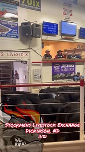 It’s HOTTT in Dickinson! Thanks for sending the video in John! Check out each and every sale at stockmens on CattleUSA.com! | Hot Barn Report
