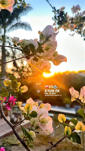 𝗹𝘂𝗰𝗸𝘆 ❤️‍🩹🥀 on Instagram: "Biutiful morning view 😘"