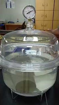 Vacuum Desiccator