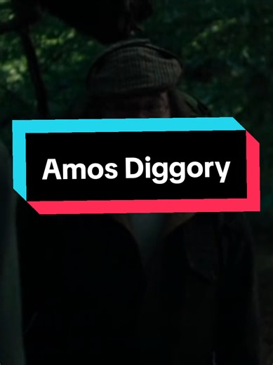 Amos Diggory: Ein unsympathischer Charakter der Harry Potter Reihe
