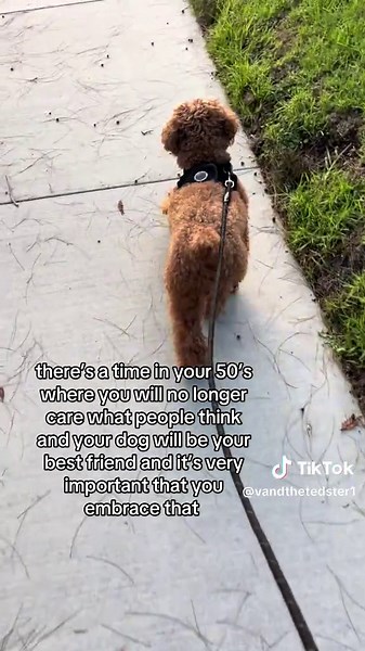 Embrace Your 50s: The Joy of Friendship with Dogs