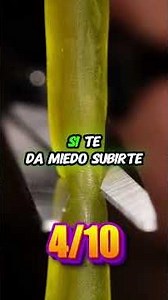 👻 ¡BAJA UN DEDO si te atreves a enfrentar estos miedos! | Test de Valentía 😱💀