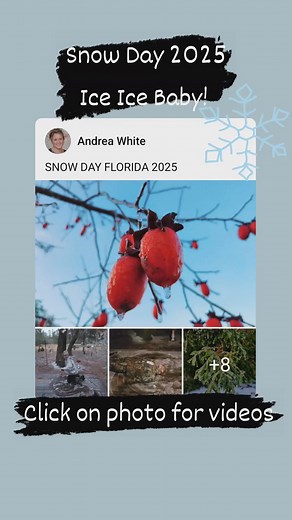 Andrea White on Reels