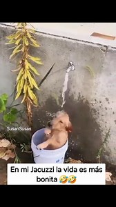 Con algo tan simple, nuestro amigo se siente feliz. | Susan Susan