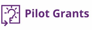 Pilot Grants Program - NIA IMPACT Collaboratory