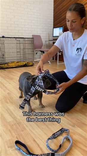 1.3K views | Say goodbye to uncomfortable walks with your furry...