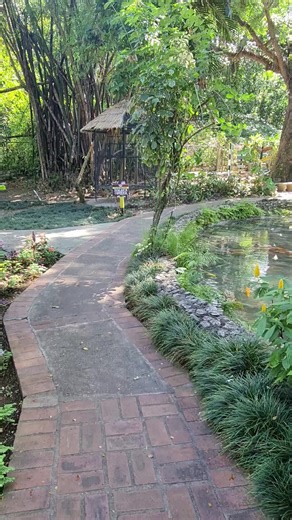 Garden Tour. Read Full Review: https://kareemsquest.com/konoko-falls-2/ | Kareem's Quest