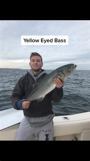 Rhode Island has an awesome saltwater fishery #shorefishing #rhodeisland #fishing #fblifestyle | Fish R.I