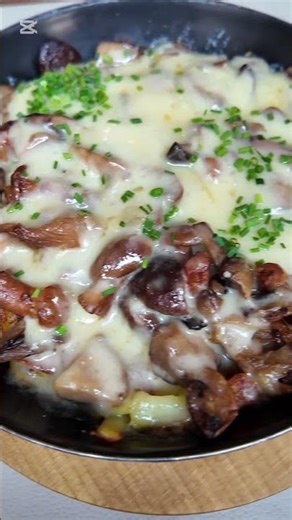 Zurich → Basel → Rhine River dreams ahead 🇨🇭