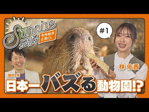 The most buzzworthy zoo in Japan?! The secret behind Nagasaki Biopark's social media creation!