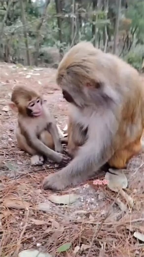 अनिल पेंटर नांदेडकर on Instagram: "#अनिलपेंटर🤔🤣🤣🤣"