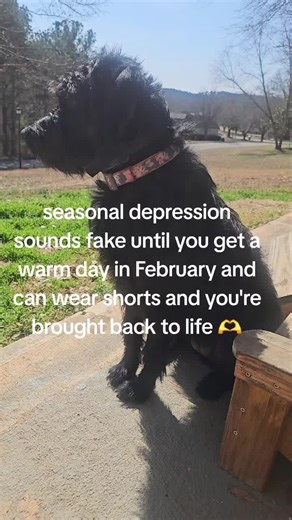 Katie 👑 (@katiesmith2020)’s videos with original sound - Rock Hall