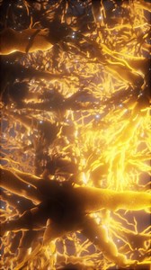 Journey through a neuron cell network inside the brain