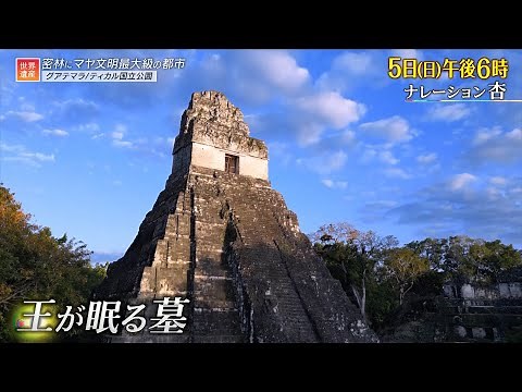 『世界遺産』11/5(日) ティカル国立公園 〜 発見つづく！マヤ文明最大級の都市【TBS】