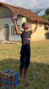 #omped_visual | Omped Visual