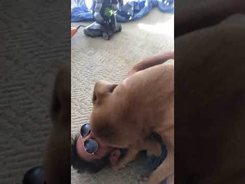 Tootsie gives kisses for 9 minutes