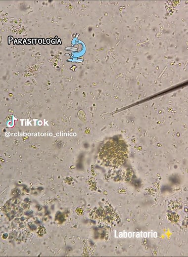 Cuentas recomendadas