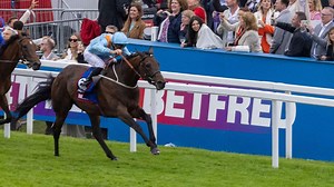 ‘Donny is D-Day’ for Lazy Griff with German route an option