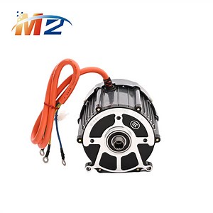 [Hot Item] Quality Assurance 48V/60V 1200W Pmsm Low Noise Motor