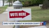 Early voter turnout in Davidson County