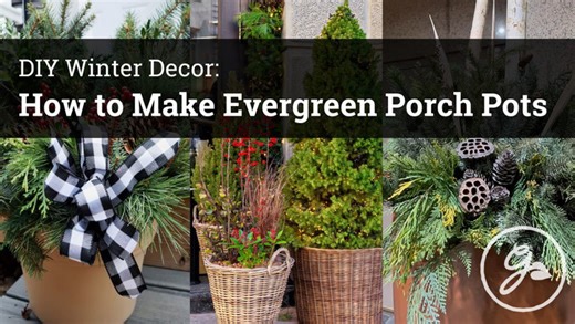 Winter container gardening: DIY evergreen porch pot ideas