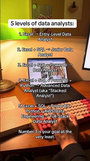 5 Levels of Data Analysts