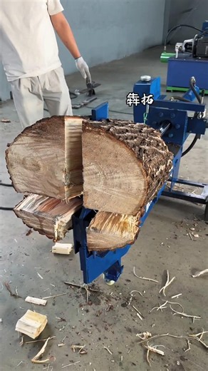 🔥 This Powerful Electric Wood Splitter Chops Thick Logs With Ease😱🪵⚡ #Shorts