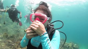 File:How to propose Underwater 720P.webm - Wikimedia Commons