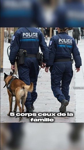 L'affaire Dupont de Ligonnès reste l'un des plus grands mystères ! #story #scarystories #strange