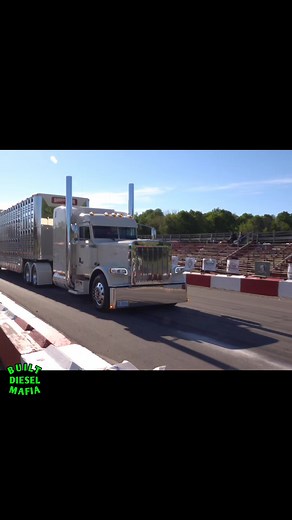 46K views · 2.1K reactions | Rabbit River 167 #peterbilt #75chromeshoptruckshow #rabbitrivertransport #cowtruck #bigrig #semi #trucker | BUILT Diesel MAFIA | Facebook