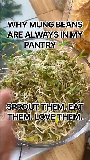 Mung beans are officially a pantry staple 🌱 Cheap, easy to store, and so simple to sprout at home.
