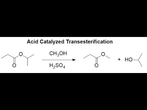 Acid Catalyzed Transesterification