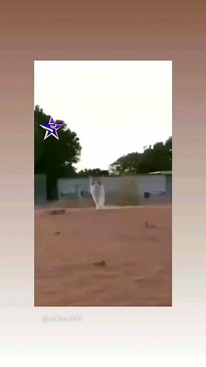 RUSHI@USHA on Instagram