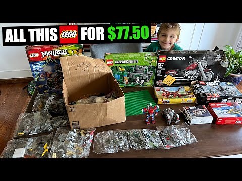My Greatest LEGO Yard Sale Hunting Day of the Year