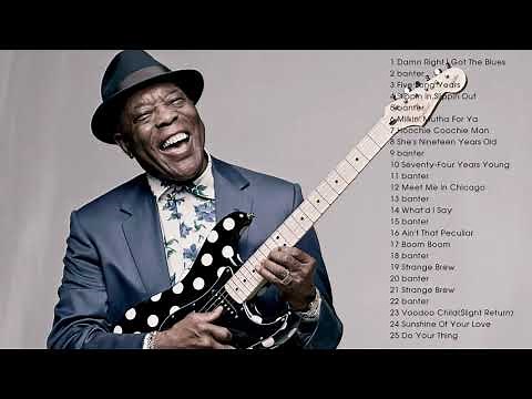 The Very Best of Buddy Guy - Buddy Guy Greatest Hits Full Album