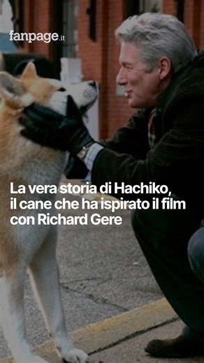 Spettacolo Fanpage.it on Instagram: "🐶❤ L’emozionante storia del cane Hachiko ha ispirato prima il film giapponese del 1987 “Hachikō Monogatari” e poi, nel 2009, “Hachiko – Il tuo migliore amico” di Lasse Hallström, con Richard Gere. Ma chi era davvero il cucciolo diventato simbolo di fedeltà in tutto il mondo? Hachiko era un Akita Inu maschio, nato il 10 novembre 1923. A soli due mesi venne adottato da Hidesaburō Ueno, professore di agroingegneria all’Università Imperiale di Tokyo. Tra i due n