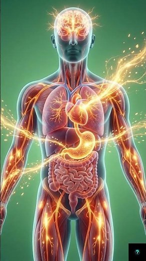How Sugar Affects Your Body | 3D Animation on Blood Sugar Levels & Health Effects