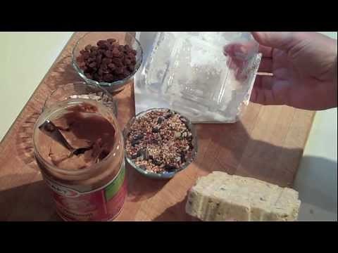 Making Wild Bird Food Suet Cakes