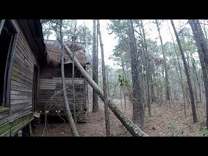 Exploring 1800's Abandoned Houses in Rural Georgia and More