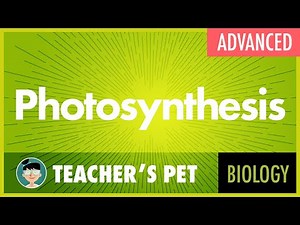 Photosynthesis (advanced)