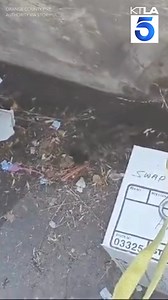 25K views · 60 reactions | KTLA 5 News on Reels | Facebook