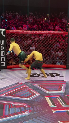 Бой Камолова и Хасанова на турнире OCTAGON 42 в Ташкенте