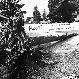 Ross Hammond   Grant Calvin Weston – Root (2020, File)