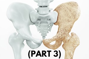 The Best Exercises For Stronger Bones (Osteoporosis Exercises) — More Life Health - Seniors Health & Fitness