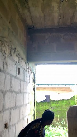 Luv birds #fblifestyle | Brainnyb TV