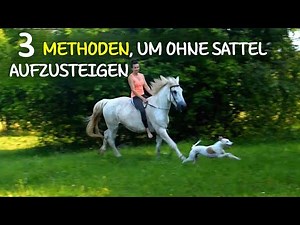 3 geniale Tricks: So steigst du ohne Sattel aufs Pferd – Schritt, Trab & Galopp