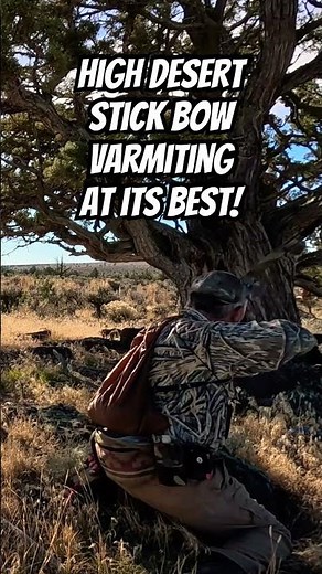 High Desert Varmiting at it's Best! #traditionalarchery #thatrecurvearcher #hunting #varminthunting
