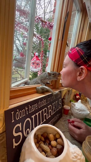 Oh my goodness! #fyp #thisisme #yesimcrazy #crazy #love #crazyforsquirrels #squirrelsoftiktok #myfriends #lovesquirrels #animalsoftiktok #squirrellovers #squirrellife #ny #longisland #squirrelpatio #motherofsquirrels #greysquirrel #petunia